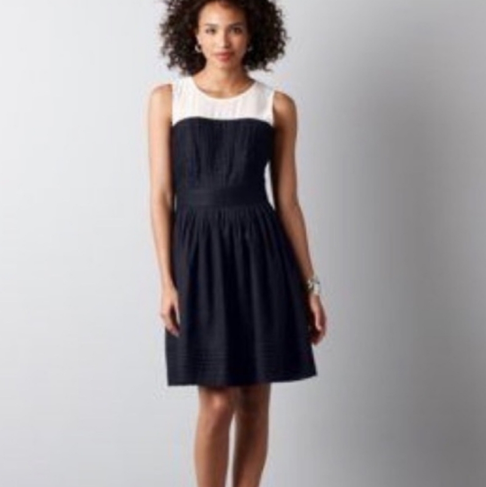 Ann Taylor LOFT Fit & Flare Sheer Yoke Dress Size‎ 10 Navy Sheer